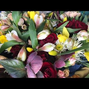 Meet your Posher, Amy